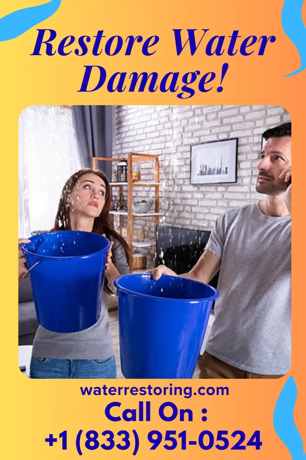 water restoration Best Water Repair Contractors Holcomb